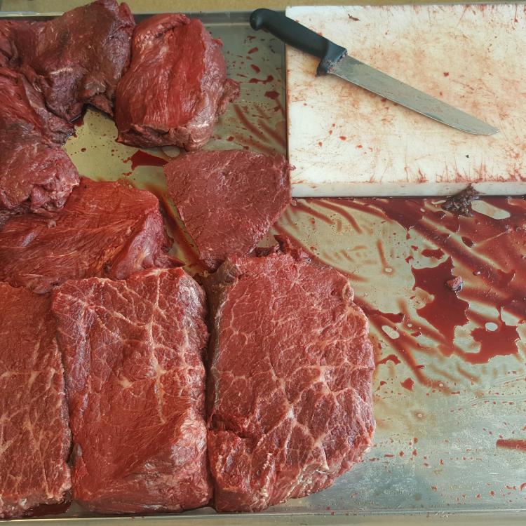 14522427_10209133624990600_783676332_o