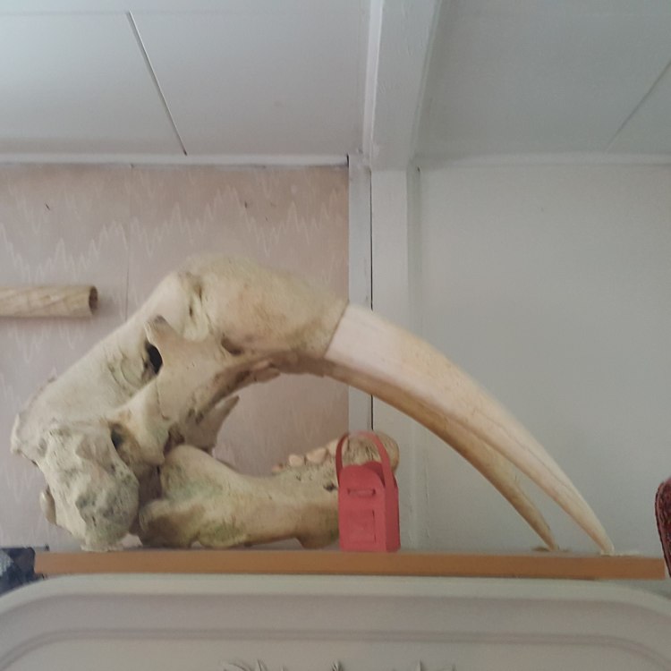 14551070_10209133622390535_1276008194_o